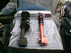 White on gold rocks-imga0229.jpg