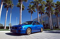 My Blue Bucket-mpj_performance_0001.jpg