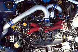 My Blue Bucket-mpj_performance_0037.jpg