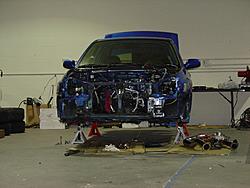 My Blue Bucket-dsc00477_s.jpg