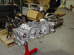 My Blue Bucket-dsc00466_s.jpg