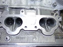 My Blue Bucket-dsc00470_s.jpg