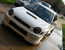 project super godzilla :D-mir2.jpg