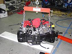 My Blue Bucket-dsc00481_s.jpg