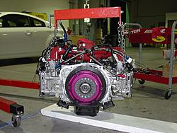 My Blue Bucket-dsc00482_s.jpg