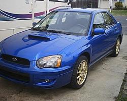 my 04 blue bucket-ffrwe.jpg