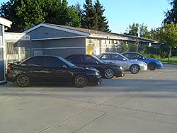 mini photo shoot pictures-dsc00326.jpg