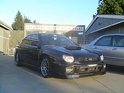 mini photo shoot pictures-dsc00335.jpg