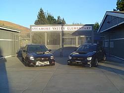 mini photo shoot pictures-dsc00341.jpg