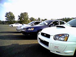 pics of pure joy ...-picture011.jpeg