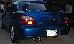 My Blue 03 REX-p9230016.jpg