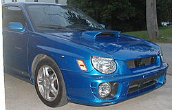 My Blue 03 REX-p9230018.jpg