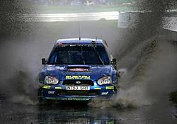 OFFICIAL: Rally Pic Thread-01_big.jpg