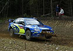 OFFICIAL: Rally Pic Thread-02_big.jpg