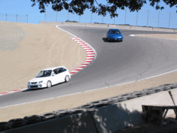 white on white-roycorkscrew.gif