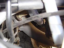 New Pictures-dsc03274.jpg