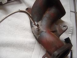 New Pictures-dsc03296.jpg