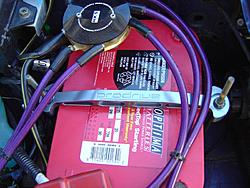 New Pictures-dsc03290.jpg