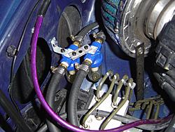 New Pictures-dsc03371.jpg