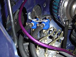 New Pictures-dsc03372.jpg