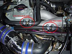 New Pictures-dsc03373.jpg