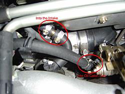 New Pictures-dsc03374.jpg