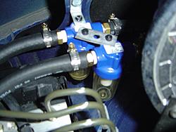 New Pictures-dsc03376.jpg