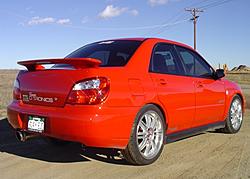 New shoes for my Rex's Christmas-carpics-089.jpg