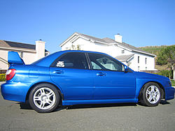 My Blu Baby-4.jpg