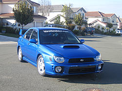 My Blu Baby-6.jpg