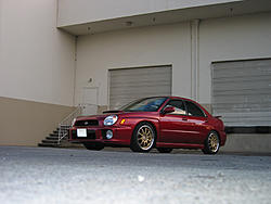 red and gold-race-tune-1-small.jpg