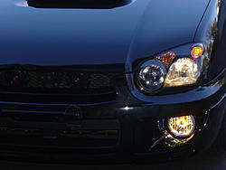 Just put my JDM fogs on my '05-dsc01146.jpg