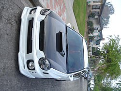Wagons Posting-dsc01244-copy.jpg