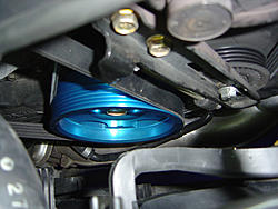 New Pictures-dsc03484.jpg