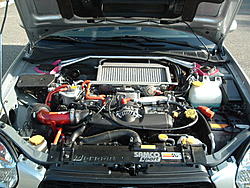 New pictures of my Rex-2003_0113image0012.jpg