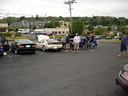 Super rice thread...-dsc01135.jpg