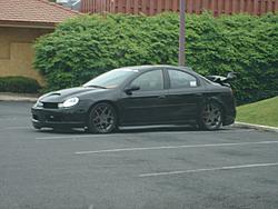 Super rice thread...-dsc01145.jpg