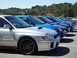 Request: Side-by-Side Comparison...-subylineup.jpg