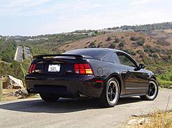 BLACK or WHITE????-dsc01141-reduced.jpg