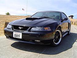 BLACK or WHITE????-dsc01021-reduced.jpg