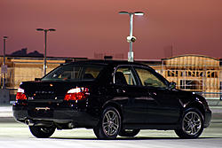 Night Shots-rex1.jpg