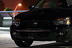 Night Shots-rex5.jpg