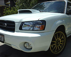 my 05' fxt w/ mods-my05fxt4.jpg