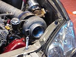 Crazy Pics!!!-msc00100.jpg