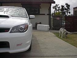 Aspen 06 Sti ...-im001357.jpg