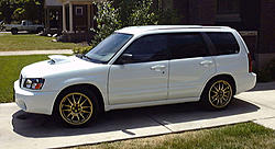 Snap shots-forester.jpg