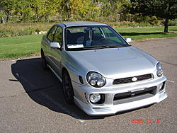 02 Bugeye-frost1.jpg