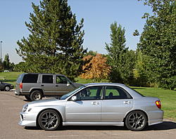 02 Bugeye-frost33.jpg