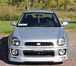02 Bugeye-frost77.jpg