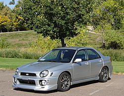 02 Bugeye-frost22.jpg
